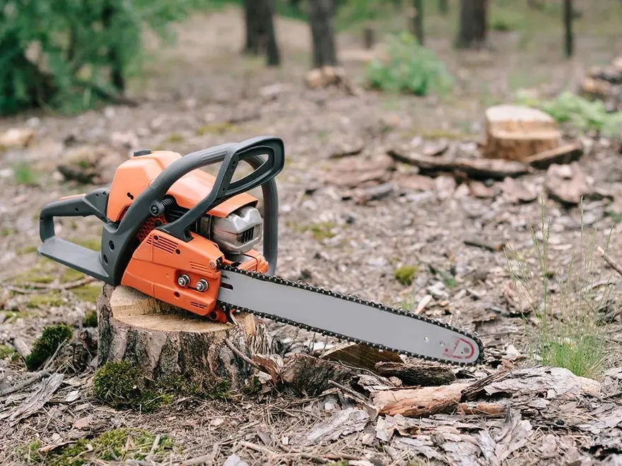 Chainsaw resting on a cut stump