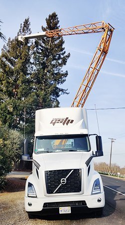 01d66d2f-tree-services 01d66d2f-tree-services
